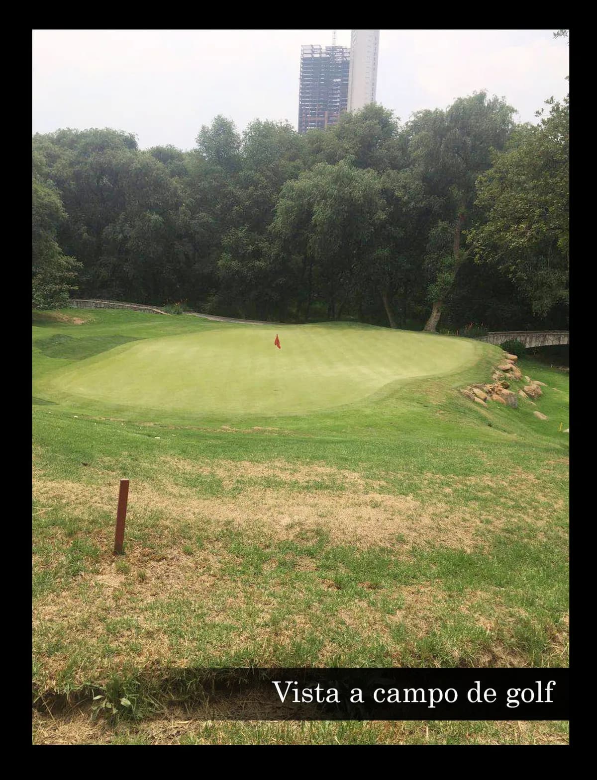 Lote Bosque Real 1100 m2 colindante con campo